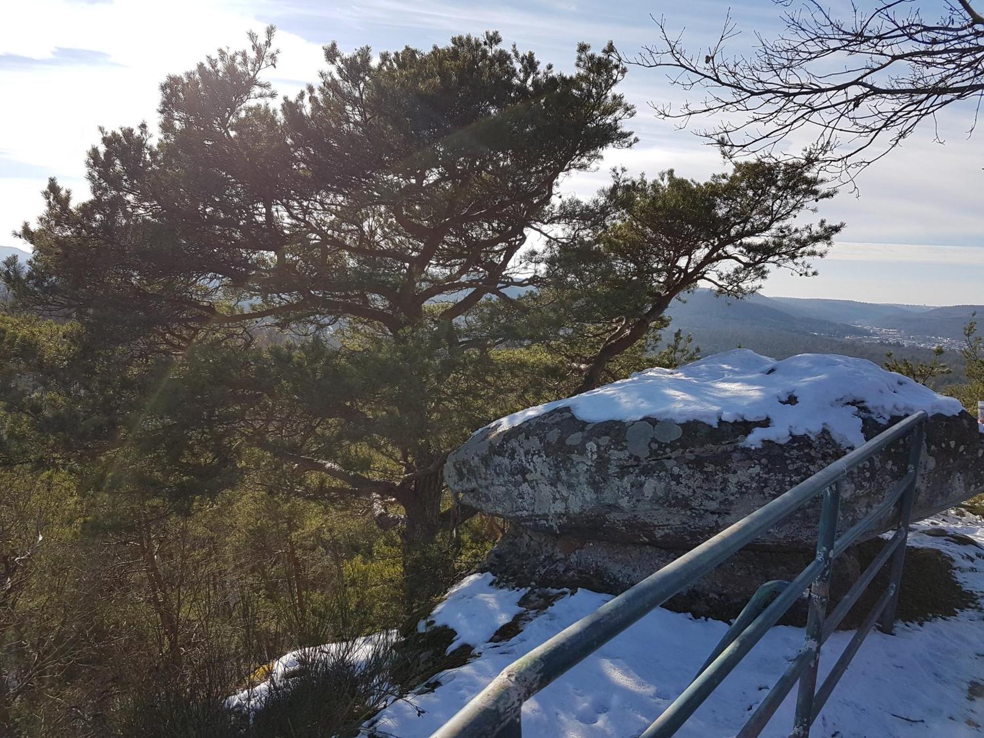 Ferienwohnung Waldliebe Hinterweidenthal Buitenkant foto