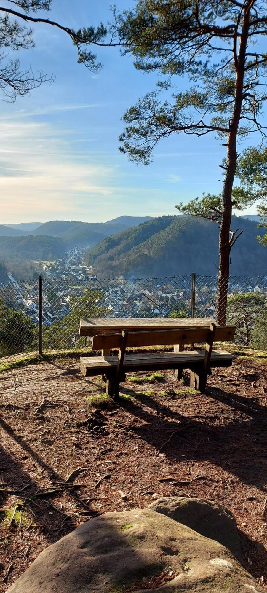 Ferienwohnung Waldliebe Hinterweidenthal Buitenkant foto